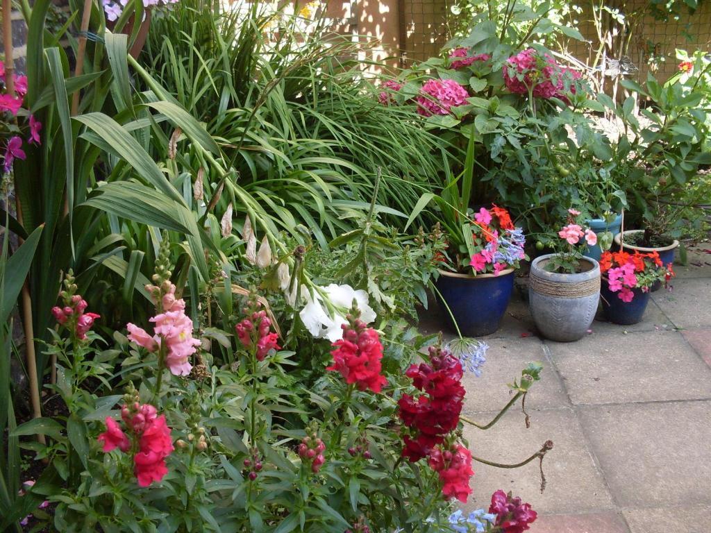 Cambridge House Guest House Eastbourne Rum bild
